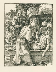  av Albrecht Dürer or Duerer