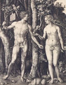 Menneskets fall av Albrecht Durer av Albrecht Dürer