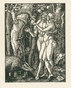  av Albrecht Dürer or Duerer