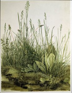  av Albrecht Dürer or Duerer