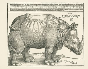  av Albrecht Dürer or Duerer