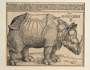  av Albrecht Dürer or Duerer