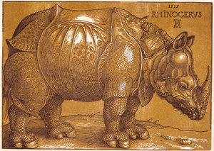  av Albrecht Dürer or Duerer