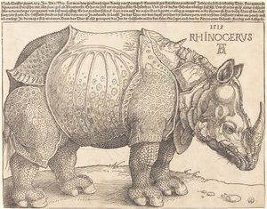 Neshornet av Albrecht Dürer