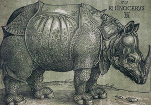 Neshornet, 1515 av Albrecht Dürer
