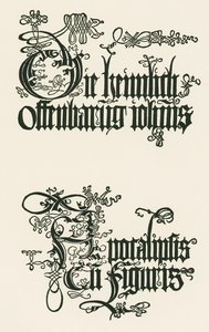  av Albrecht Dürer or Duerer