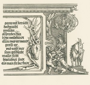  av Albrecht Dürer or Duerer