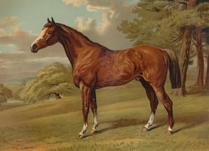 'Stilton A Hunter', c1879. av Aldfred Sheldon Williams