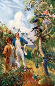 Kaptein Cook ved Botany Bay (fargelitografi) av Alec Ball