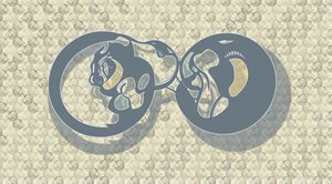  av Alejandra Winkhaus