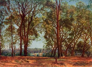 I Aricci-parken, 1830-tallet, 1965.