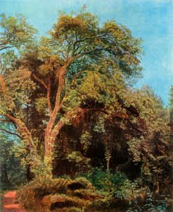 Tree in the Park, midten av 1800-tallet, 1965.