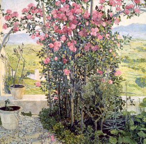 The Valley i Umbria, 1910-tallet. av Aleksandr Jakovlevic Golovin