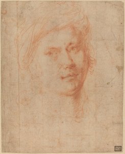 Leder for en ungdom av Alessandro Allori
