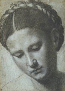 Et kvinnehode med flettet hår (kull og hvitt kritt på carta azzura)
