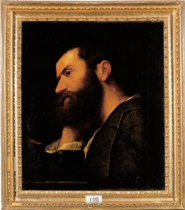 Portrett av poeten Pietro Aretino, bystelengde, hvilende hodet på høyre hånd ved en avsats med en plante