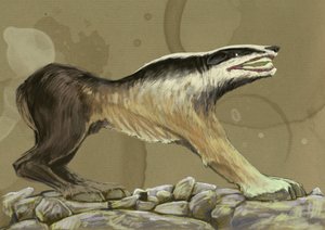 Fantastiske monstre og skapninger, kryptozoologi: representasjon av en krokott (eller leucrotta, corocotta, crocuta, yena) mytisk ulvehund fra India eller Etiopia (crocotta (eller corocotta, crocuta, leucrocotta eller yena), er en mytisk hund-ulv fra India