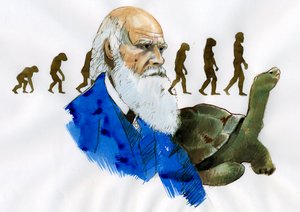 Portrett av Charles Darwin - Portrett av den engelske naturforskeren Charles Darwin (1809-1882) Illustrasjon