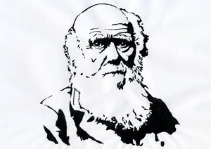 Portrett av Charles Darwin - Portrett av den engelske naturforskeren Charles Darwin (1809-1882) Illustrasjon av Alessandro Lonati