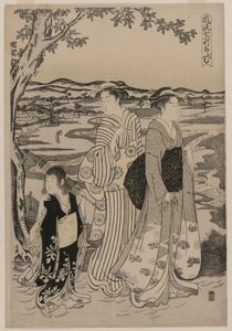 Omu the Parrot (fra serien Seven Elegant Episodes from the Life of the Poetess Ono no Komachi) av Alessandro Magnasco