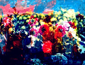 Field, 2019, (collage) av Alex Caminker