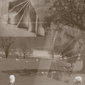 Sau, 2019,(blandet media, collage;funne objekter) av Alex Caminker