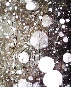 Snow, 2019, (blandet media) av Alex Caminker