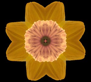 Symmetry, 2019, (fotografi) av Alex Caminker