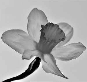 Uten tittel, 2019, (fotografi) av Alex Caminker