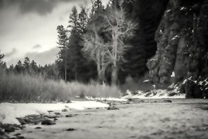 aksenter,2019,(fotografi) av Alex Caminker