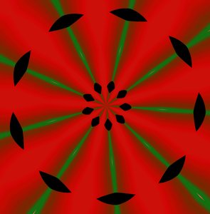 blomster #2,2019,(gradient) av Alex Caminker