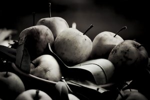 harvest,2019,(fotografi) av Alex Caminker