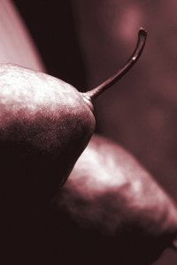pærer, 2019, (fotografi) av Alex Caminker