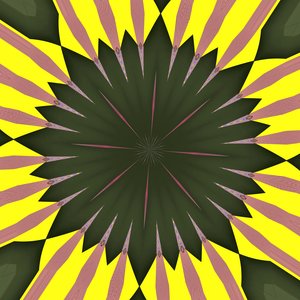 solsikke, 2019, (digital) av Alex Caminker