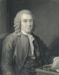 Portrett av Carolus Linnaeus av Alexander (after) Roslin