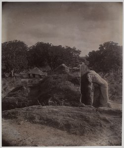 Skulpturert elefant på toppen av stein med Asoka-inskripsjoner, Dhauli, Puri-distriktet av Alexander Caddy