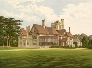 Cowdray Park av Alexander Francis Lydon