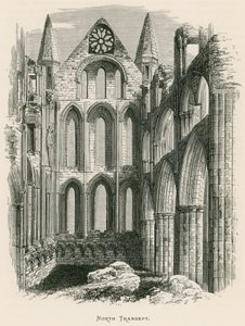 Whitby Abbey, North Transept av Alexander Francis Lydon