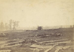 Utsikt over slagmarken til Antietam, september 1862, 1862. av Alexander Gardner