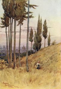 Firenze fra Poggio Gherardo (farge litho) av Alexander Henry Hallam Murray