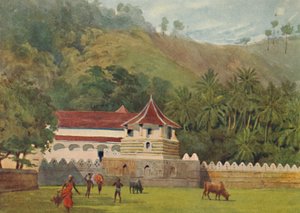 The Temple of the Tooth, Kandy - Eksteriør, c1880 1905. av Alexander Henry Hallam Murray