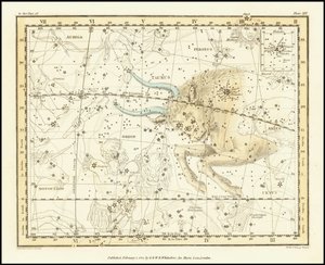 1822 - Alexander Jamieson - Tyren av Alexander Jamieson