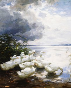 Ender ved Lake