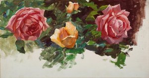 A. Koester, Rose Study