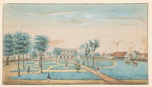 Utsikt over sukkerplantasjen Catharina Sophia av Alexander Ludwich Brockmann