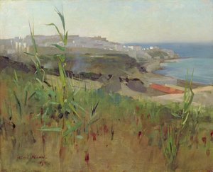 Tangier fra sanddynene, 1892
