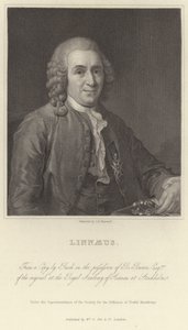 Linné av Alexander Roslin