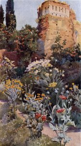 I hagene til Alhambra (farge litho)