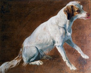 Fransk spaniel stamfar, av Alexandre-Francois Desportes (1661-1743), Frankrike av Alexandre Francois Desportes