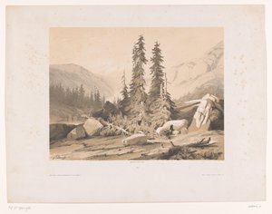 Fjelllandskap med grantrær og fjellgeiter Sapins (tittel på objekt) av Alexandre Calame